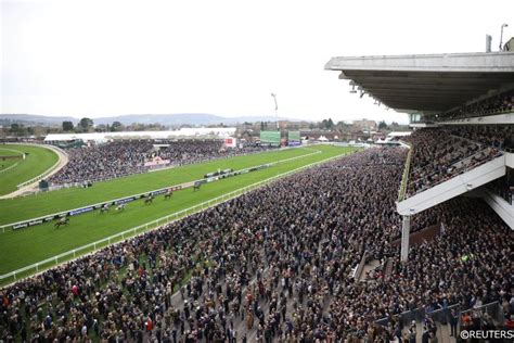 cheltenham festival 2023 sweepstakes